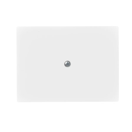 ABB 2538-100-884 Centrumplatta blindlock, vit, Strömbrytare & vägguttag