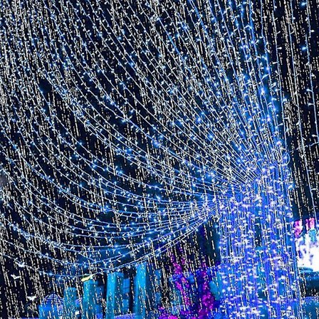 9,8ft X 6,6ft ljusslinga nätljus för julbröllopsfest