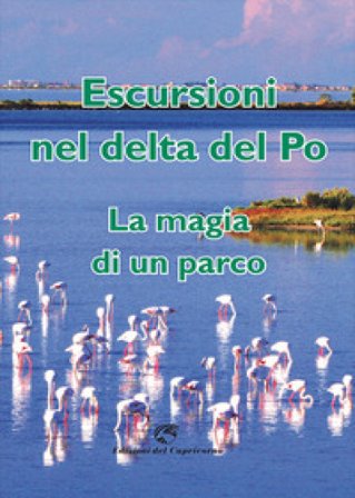 Escursioni nel delta del Po: la magia di un parco Alessandro Marchi