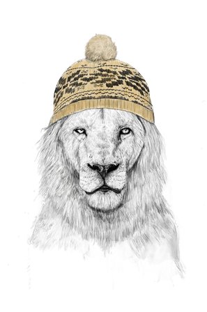 Pelcasa - Plakat Winter Lion - Hvid - Posters - Fra Homeroom