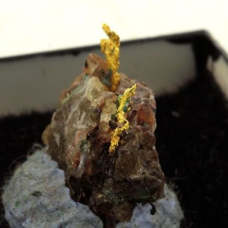 Kivet ja Mineraalit. Alkuperäinen kulta. 9,95 senttiä. La Gardette Mine, Galerie Panis, Bourg d'Oisans, Isère, Ranska.