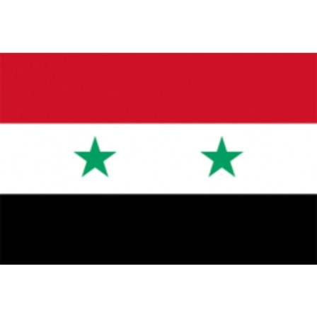 Flag - Syrien