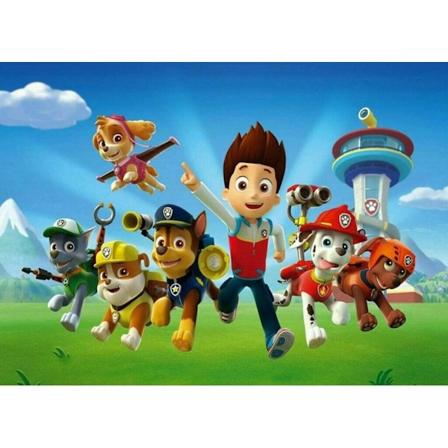 5D Diamantmaleri Paw Patrol 30x40cm (Stil 7)