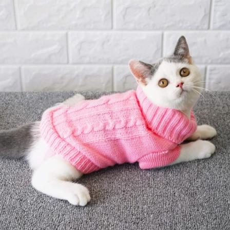Genser til kjæledyrkatt, klær til kattunger for katter, små hunder, turtleneck genser til katt, pullover, myk og varm, passer til kattunge, chihuahua,