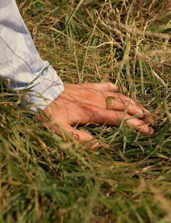 Maria Black Shore Ring - Gold - 56