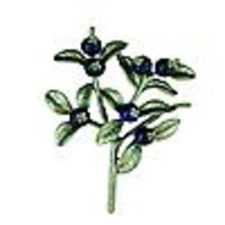 Broscher Kvinnor Nyhet Brosch Pins Växt Brosch Träd Brosch Gren Brosch Pins