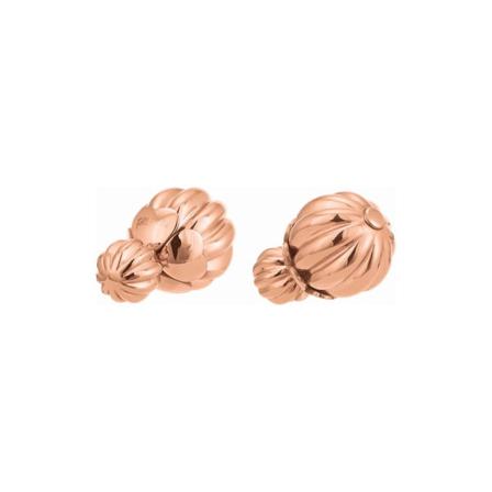 Dam Örhängen Folli Follie 1e17t004r (1 Cm)