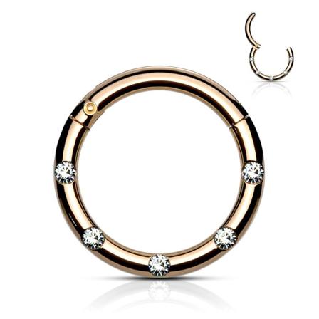 10 mm Segmentring i IP 316L kirurgisk stål med 5 Hvide CZ
