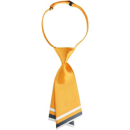 Dame forhåndsknyttet sløyfeuniform slips med justerbare striper