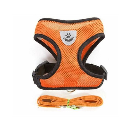 XL Størrelse Hundesele for Valp og Katt - Myk Sele i Mesh, Pustende, Justerbar - Oransje