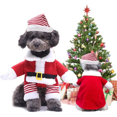 Juleantrekk for katt, julekatt med nisselue, juleantrekk for kjæledyr, julehettejakke.