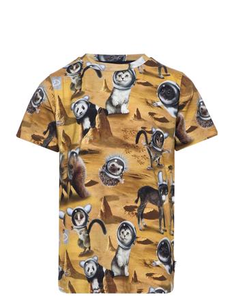 Ralphie T-shirts Short-sleeved Multi/mönstrad Molo