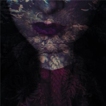 Fierce - blue transparent vinyl HANTE.