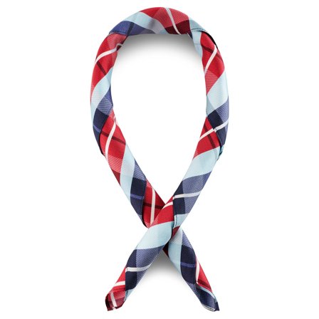 BLUE & BORDEAUX CHEQUERED Pattern Silk Neckerchief for Men