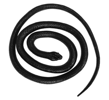 Linnunpelätinkäärme, 120 cm