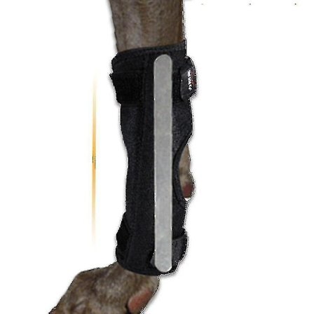 Bagben Skinne Støtte med Metalfjedre Strimler Hunde Ben Støtte til Bagben, Skinne Ankel Støtte Bag Hund