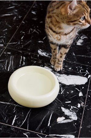 Jotex - Matskål For Hund/katt naturhvit - BUBBLE - Kjøp Kjæledyrutstyr hos Jotex