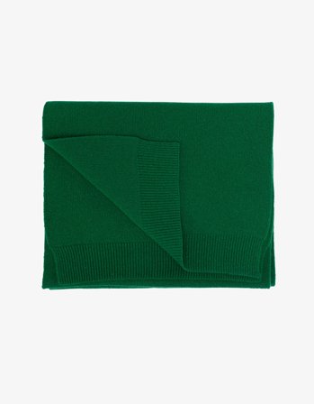 Merino Wool Scarf - Kelly Green - One Size