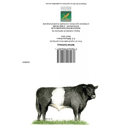 Kevin Milner Countryside Belted Galloway Gratulationskort En Storlek