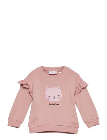 Tania Pink Mango