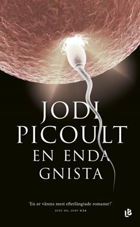 En enda gnista - Bok av Jodi Picoult - Pocket