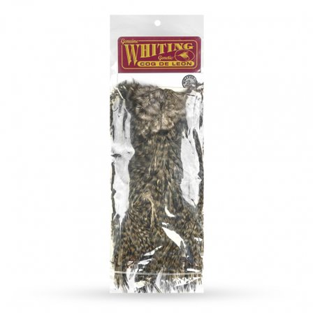 Whiting Coq de Leon Bronze Saddle, GD/ Med Dun