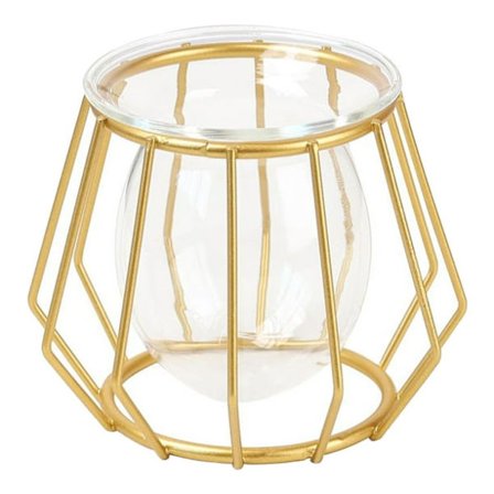 Hemväxt Blomvas Metalltråd Glas Kruka 3D Geometrisk Ta