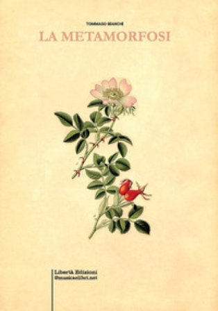 La metamorfosi Tommaso Bianchi