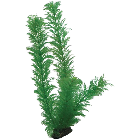 Hobby - Plastplante Egeria 34cm - Akvaristikk - Akvarie inventar - Kunstige planter - ZOO.no