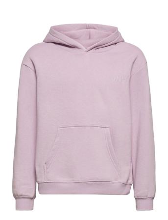 Kogevery Life Small Logo Hoodie Pnt Hoodie Trøje Lilla Kids Only