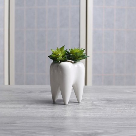 2 st vita söta tandkruka planter krukor suckulent tandkruka planter kreativa keramiska kaktus krukor mini växtbehållare