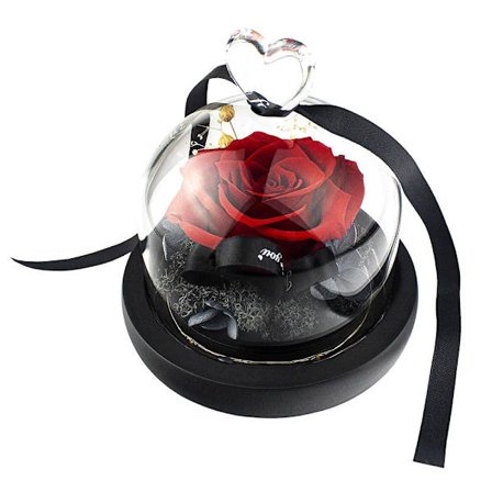 Lille Rose i Glaskupe - Rød