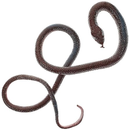 Prank Rekvisitter Realistiske Gummi Sorte Runde Hoved Slanger Falske Slange Legetøj Fest Rekvisit til Halloween Festival Tilfældig Farve