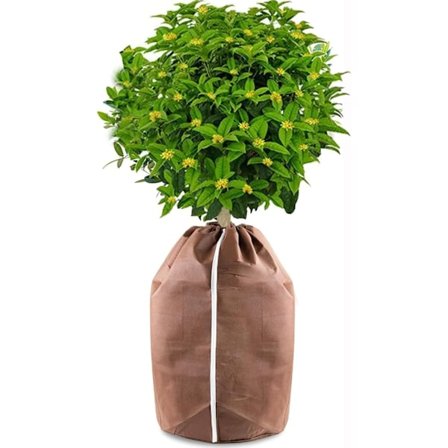 Plantebeskyttelse til vinteren – Frostbeskyttelse med snøre og lynlås til udendørs planter, frugttræer og potteplanter