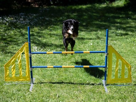 Agility Profi Hopp PRO-serie