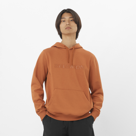 Salomon - Salomon Hoodie M - Sierra