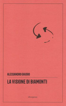 La visione di Biamonti. Principi e motivi d'incontro tra letteratura e filosofia. Ediz. critica Alessandro Gaudio
