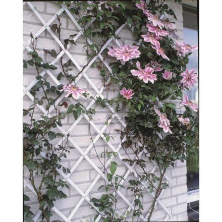 Nature Trädgårdsspaljé 50x150 Cm Pvc Vit 6040701 Vit