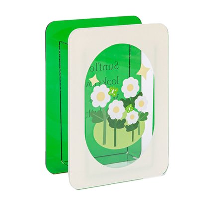 Akryl Blomstervase Moderne Buketholder Klar Plante Blomsterbeholder Æstetisk Rumindretning Tusindfryd