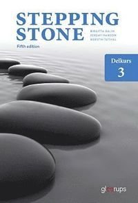 Stepping Stone delkurs 3 elevbok 5:e uppl