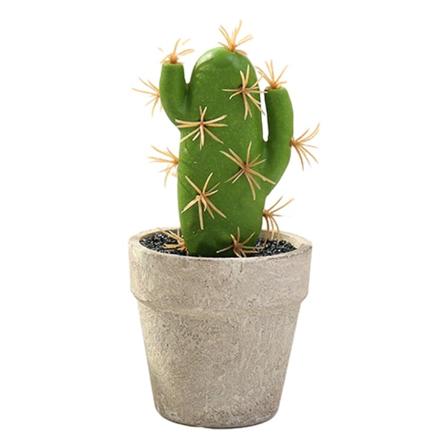 Kunstig mini kaktusplante pottet kreativ innendørs liten