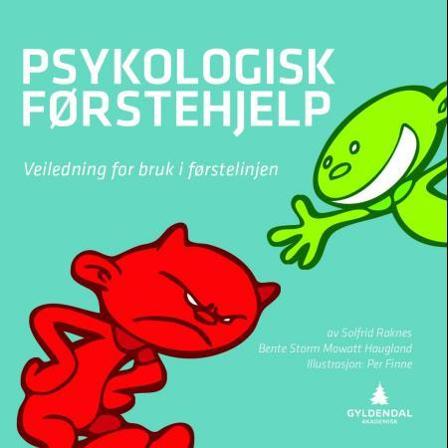 Veiledning for bruk i førstelinjen - Bok av Solfrid Raknes & Bente Storm Mowatt Haugland - Paperback
