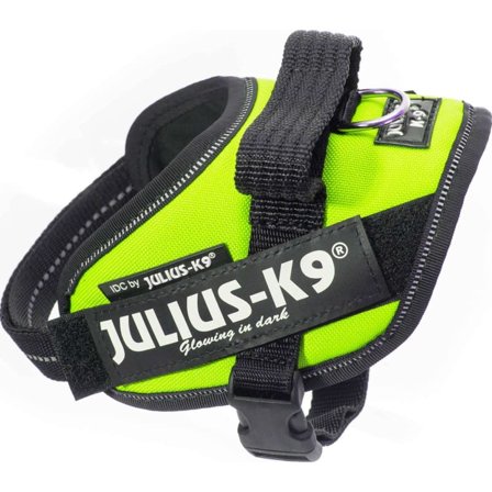 Julius-K9 Idc Harness UV Mini-Mini Dog Harnesses & Dog Collars Green Mini-Mini