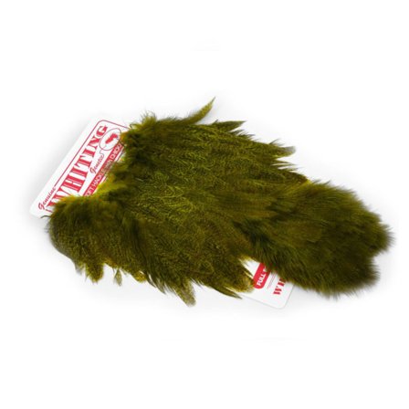 Whiting Coq De Leon Hen SH/C - Speckled dyed Golden Olive