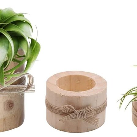 Blomsterpotte luftplanteholder lavet af træ. Træ luftplanteholder. 3 luftplanter KLB