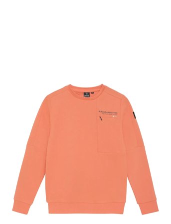 Indian Blue Jeans | Sweater Chest Print Brushed | 152