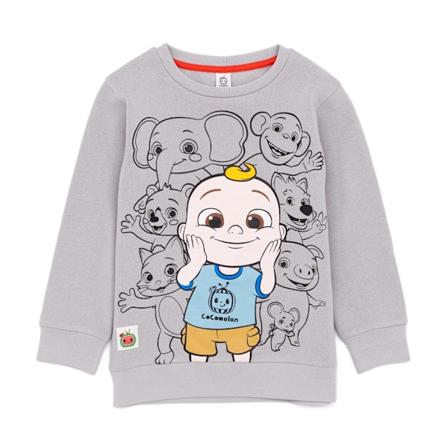 Cocomelon Barnkläder/Barn Gruppbild Sweatshirt 18-24 Månader Grå Grey 18-24 Months