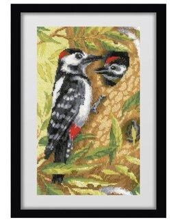 Broderipakke Bilde Hakkespett - Riolis