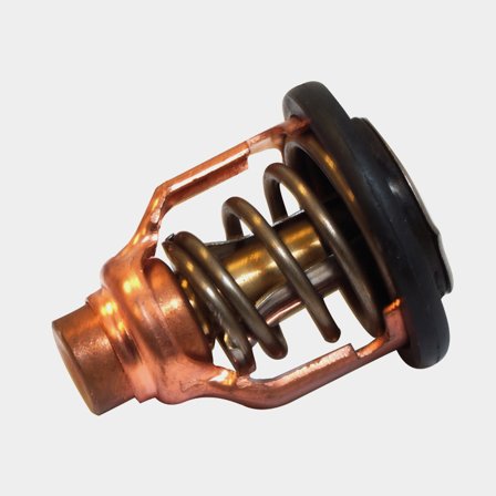 Termostat till Yamaha F(L)200F/ F(L)200G/ F175A