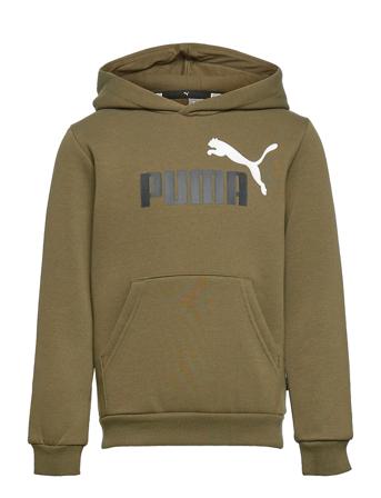 Ess+ 2 Col Big Logo Hoodie Fl B Huppari Vihreä PUMA
